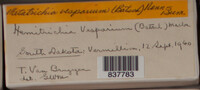 Image Associated With the Occurence